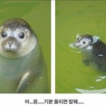 [드루와] 몇일사겨야 <b>오래</b>사귄거라 생각함?