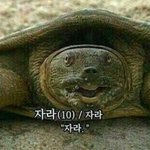 [댓글부탁해] 눈만 졸린거 먼지알아????