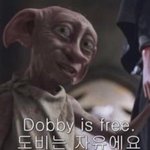 [19] 새삼 여자몸 남자몸 조카 신기하다 진짜
