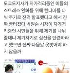 일본 <b>현</b> <b>상황</b> ㅋㅋㅋㅋ