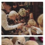 [방탄소년단] 머글인데 슈가님 귀여워하는 멤버분들 짤 나눔<b>해</b>줘