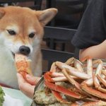 아빠 인생 너무 기구해