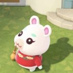 [드루와] 햄스터 <b>입양</b>했다 ㅜㅜ