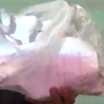 [드루와] 속보))민경욱의원 부정선거 <b>물증</b>공개, 내부자 녹취록 공개