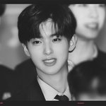 화려함 <b>속</b>에 가려진 청초함 in <b>남</b>돌