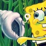 마법의 <b>소라</b>고동님