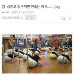 그레이 <b>렌즈</b>엔 립 머발라야되냐..