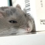 [댓글부탁해] ㄹㅇ 수학 <b>선행</b> 왜 하라는 건지 알겠어