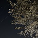 [드루와] 분위기 얘기해주면 어울리는 <b>팝송</b> 추천해줄게!!