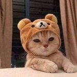[드루와] <b>법정</b>하는애들아 빡세게 돌린다하면