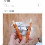 [댓글부탁해] 아조카웃김 <b>로봇</b>청소기가 똥길만들어놓음