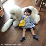 푸들 셋 <b>아가</b> 둘
