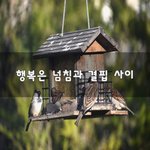 [이것좀봐바] 행복은 넘침과 결핍 사이~