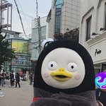 니네 <b>펭</b><b>수</b>종아리봤냐?