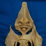 우유에서 <b>쇠맛</b>