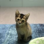 [드루와] 인스타팔로워 많고 옷 잘입고 사진 잘찍고