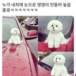 우리 팬덤 ㄹㅇ 좋은 점