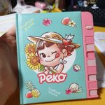 고3인데 비밀<b>노트</b> 쓰는거 유치하냐?..
