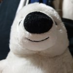 [댓글부탁해] <b>베라</b> 이 곰인형 있는 사람 모여봐