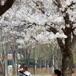 [드루와] <b>양남</b> 남친 사귀게 된다면 )추반 ㄱㄱ