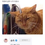 방탄 웃긴위버스댓글들(1)ㅋㅋㅋㅋㅋ