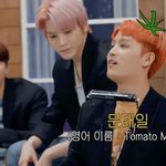 [NCT] 펀치쇼 약간의 써머릐ㅋㅋㅋㅋㅋ