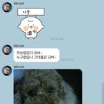 [EXO] 무슈랑 있다 <b>오바</b>-