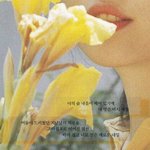 [위너] +)애드라 배경화면 만들어왔던 타팬임