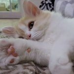 [드루와] 아ㅋㅋ방금 우리학교에 팔로워 산 애 봄ㅋㅋ