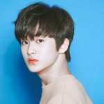 [NCT] 즈니들은 각 멤버당 가장 어울리는 활동 뭐였다고 생각해...