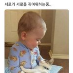 [드루와] 너네 판에서 받아본 최고의 관심이 뭐임?