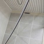 [고양이] 사랑스런 사고뭉치 벵갈고양이