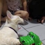 [댓글부탁해] ㅅㅣ발 코로나 개빡치네