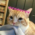 [댓글부탁해] 나같이 감정<b>이입</b> 잘하는 사람 있어?
