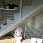 [댓글부탁해] <b>여</b><b>쿨</b>좀 도와줘..