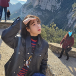 현실남매의 연예인들