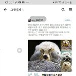 [댓글부탁해] 가족들이 <b>읽씹</b>해서 속상해...
