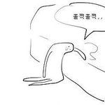 [댓글부탁해] 강아지유치원 <b>상호</b>명 추천해주라