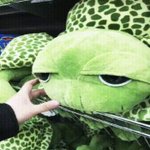 [19] 애 쌍수 <b>전후</b> 조카 차이 심하닼ㄲㅋㅋㅋ