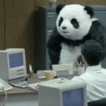 아니 ㅅㅂ <b>배민</b> 주문했는데 취소됨 뭐임