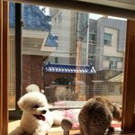 [조언부탁해] 바선생없애는<b>법</b>없슴?