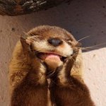 [댓글부탁해] 얘들아 친구들끼리 <b>콘도</b>잡고 노는데 뭐하지