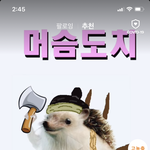 얘들아 나 스위치 라이트 삼