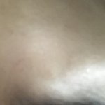 유리창 부딪혔는데 죽어..?제발