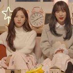 [알페스] 혹시 여기 여<b>돌</b>페스하는 사람 없ㅇㅓ..?