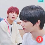 <b>최범규</b>랑 강태현 미쳤냐?