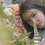 트와이스 컴백 티저 봤나 분위기 <b>미침</b> 조카 예쁨