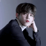 [세븐틴] 안녕 <b>캐럿</b>들 나 머글인데 혹시..!