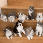 [EXO] 이거 <b>완죤</b> 티저보는 우리들 모습