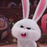 [세븐틴] <b>윤정한</b>은 토끼임